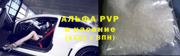 прущие грибы Наволоки