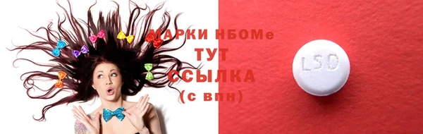 стаф Новозыбков