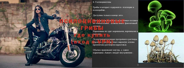 таблы Анжеро-Судженск