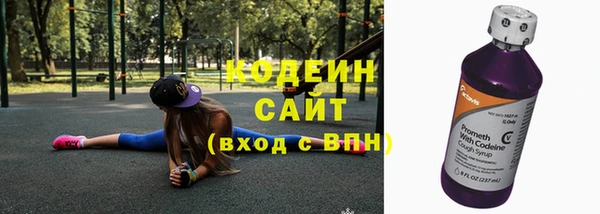 стаф Новозыбков