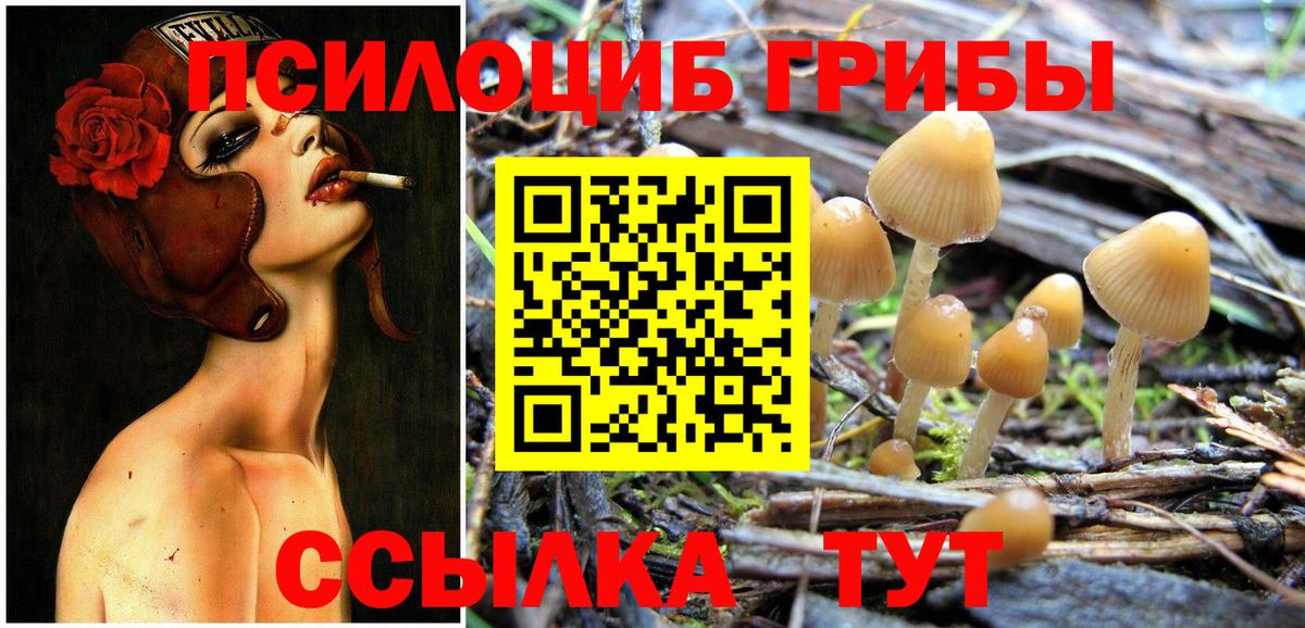 закладка  Галлюциногенные грибы MAGIC MUSHROOMS  Киржач  Галлюциногенные грибы Magic Shrooms 