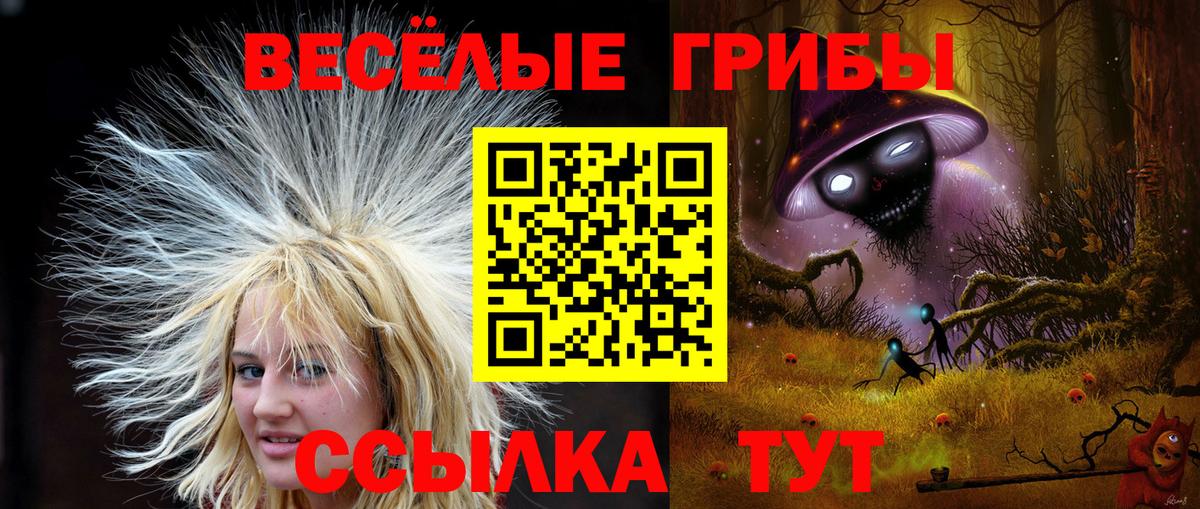 Псилоцибиновые грибы Cubensis Киржач