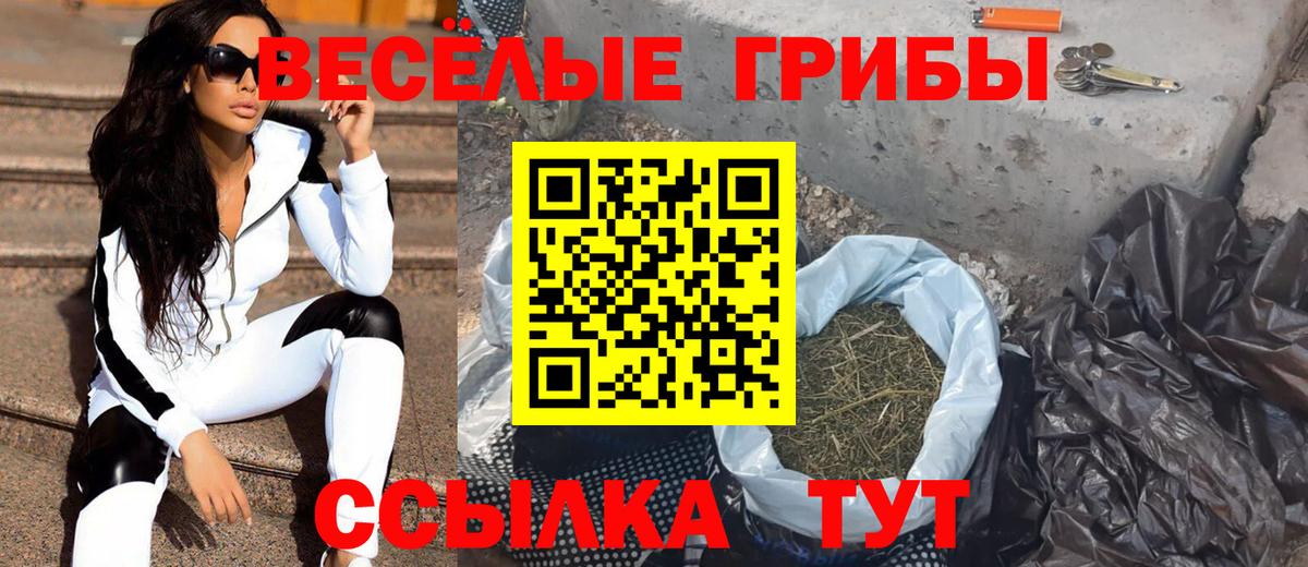 Галлюциногенные грибы Psilocybine cubensis  Вход с VPN  Киржач 