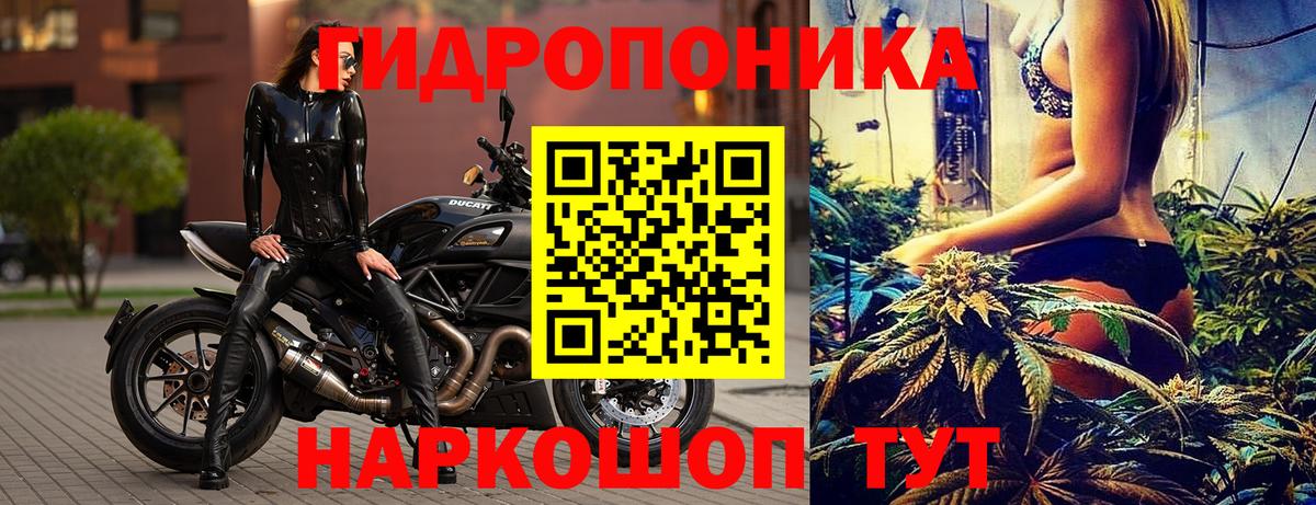 Шишки марихуана планчик  Конопля сатива  Киржач  Марихуана марихуана  Вход с VPN  Бошки Шишки AK-47 